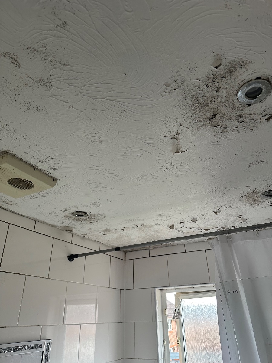 Painter and Decorator: Image 9